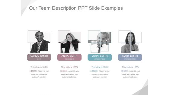 Our Team Description Ppt PowerPoint Presentation Visual Aids