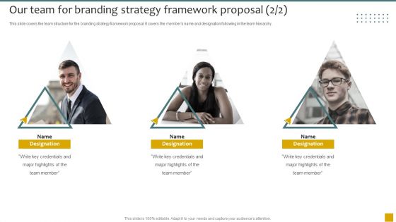 Our Team For Branding Strategy Framework Proposal Ppt Inspiration Rules PDF