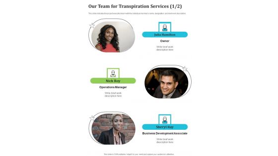 Our Team For Transpiration Services One Pager Sample Example Document