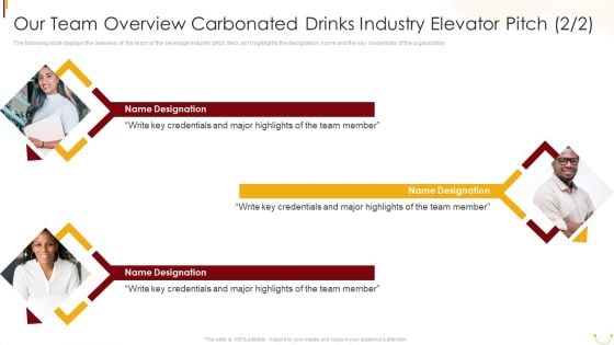 Our Team Overview Carbonated Drinks Industry Elevator Pitch Icons PDF
