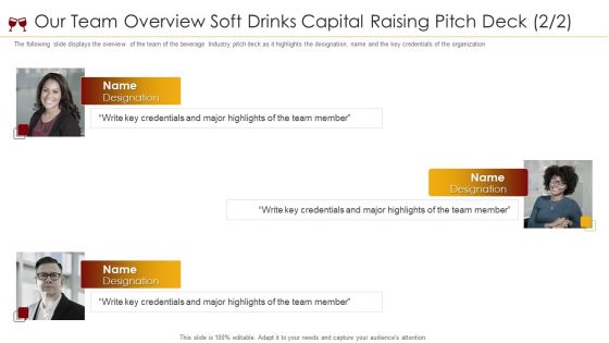 Our Team Overview Soft Drinks Capital Raising Pitch Deck Ppt Gallery Graphics PDF