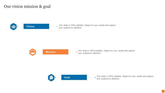 Our Vision Mission And Goal Phases Of Software Development Procedure Diagrams PDF