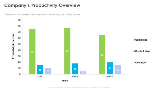 Outstanding Employee Companys Productivity Overview Ppt Professional Templates PDF