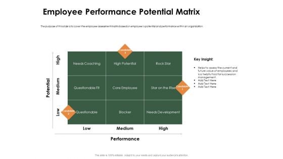 Outstanding Employee Employee Performance Potential Matrix Ppt File Tips PDF