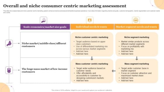 Overall And Niche Consumer Centric Marketing Assessment Introduction PDF