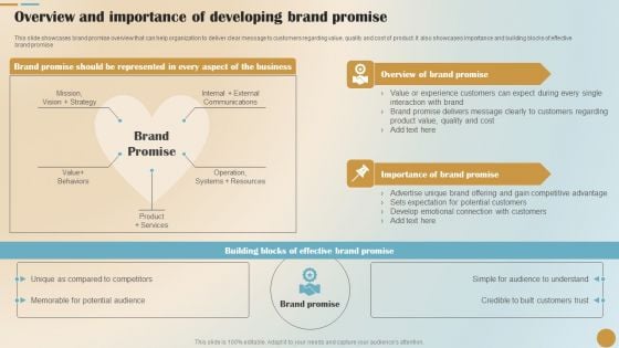 Overview And Importance Of Developing Brand Promise Rules PDF