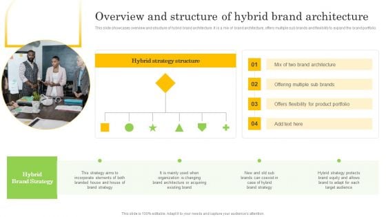 Overview And Structure Of Hybrid Brand Architecture Rules PDF