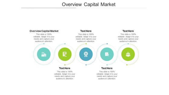 Overview Capital Market Ppt PowerPoint Presentation File Infographics Cpb