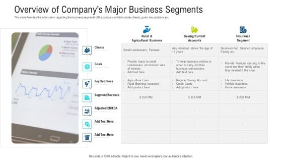 Overview Of Companys Major Business Segments Portrait PDF