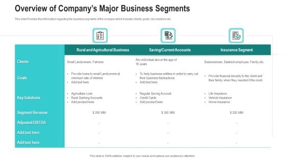 Overview Of Companys Major Business Segments Ppt Icon Infographics PDF