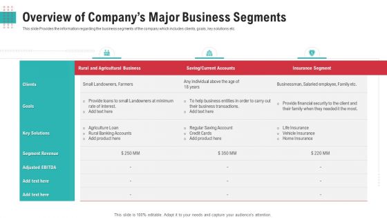 Overview Of Companys Major Business Segments Ppt Pictures Background Designs PDF