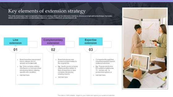 Overview Of Extension Technique Key Elements Of Extension Strategy Icons PDF