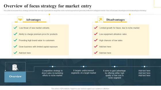 Overview Of Focus Strategy For Market Entry Implementing Focus Strategy To Improve Themes PDF