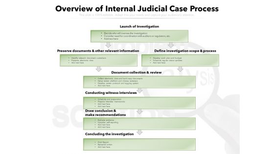 Overview Of Internal Judicial Case Process Ppt PowerPoint Presentation File Graphics PDF