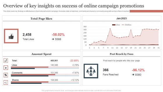Overview Of Key Insights On Success Of Online Campaign Promotions Sample PDF