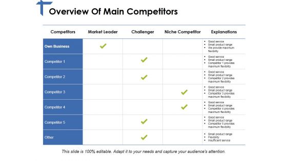 Overview Of Main Competitors Ppt PowerPoint Presentation Summary Example File