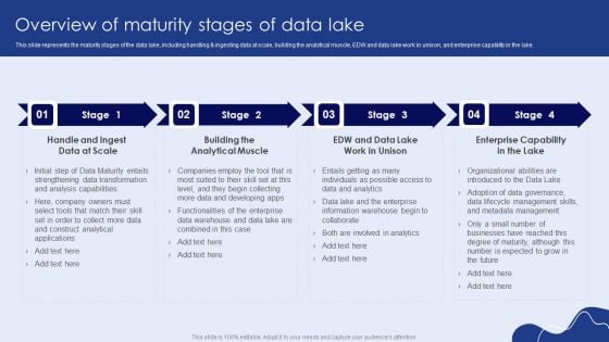 Overview Of Maturity Stages Of Data Lake Mockup PDF