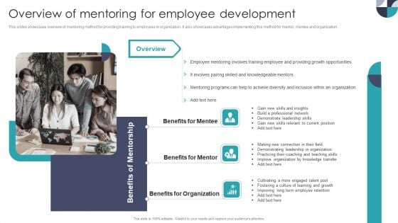 Overview Of Mentoring For Employee Development Themes PDF