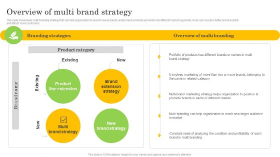 Overview Of Multi Brand Strategy Mockup PDF