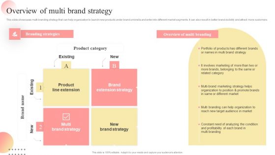 Overview Of Multi Brand Strategy Multi Branding Approaches For Different Themes PDF