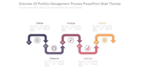 Overview Of Portfolio Management Process Powerpoint Slide Themes