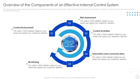 Overview Of The Components Of An Effective Internal Control System Diagrams PDF