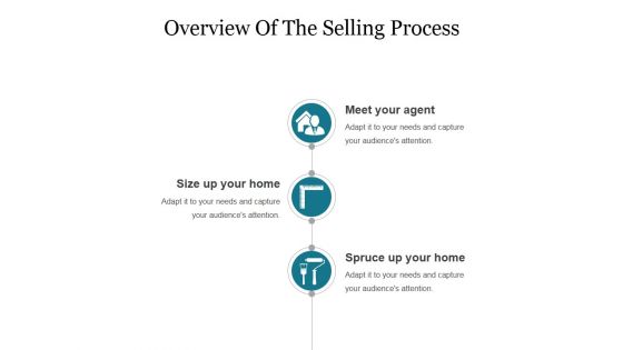 Overview Of The Selling Process Template 2 Ppt PowerPoint Presentation Portfolio Show