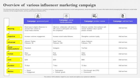 Overview Of Various Influencer Marketing Campaign Information PDF