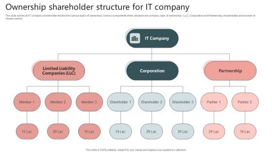 Ownership Shareholder Structure For It Company Guidelines PDF