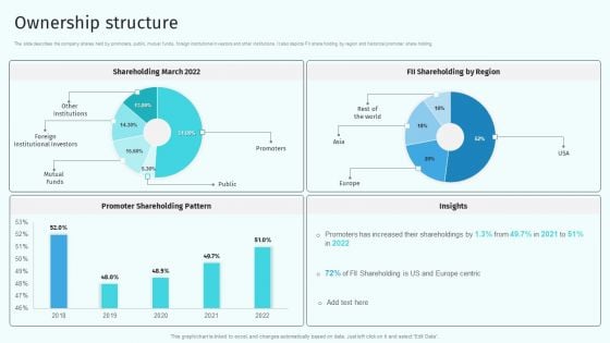 Ownership Structure Health And Property Insurance Company Profile Designs PDF