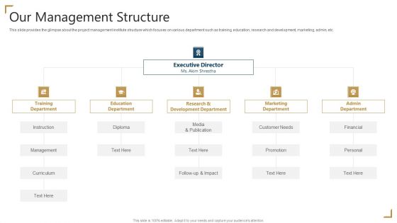 PMP Certification Our Management Structure Ppt Show Example PDF