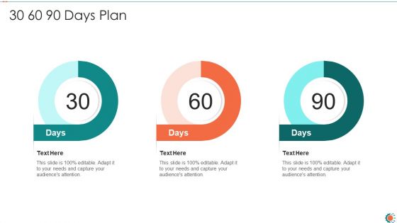 PMP Procedure Chart IT 30 60 90 Days Plan Ppt Portfolio Portrait PDF