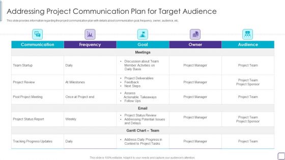 PMP Success Factors IT Addressing Project Communication Plan For Target Audience Formats PDF