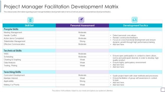PMP Success Factors IT Project Manager Facilitation Development Matrix Formats PDF PMP Success Factors IT Project Manager Facilitation Development Matrix Formats PDF