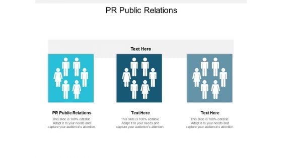 PR Public Relations Ppt PowerPoint Presentation Styles Slides Cpb