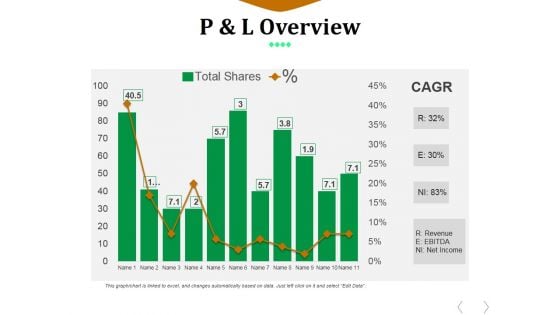 P And L Overview Ppt PowerPoint Presentation Styles Summary