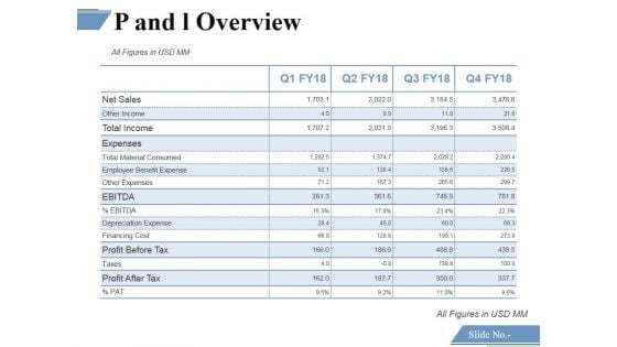 P And L Overview Template 2 Ppt PowerPoint Presentation Model Elements