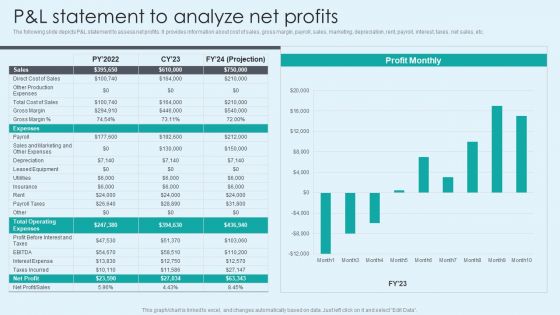 P And L Statement To Analyze Net Profits Mockup PDF