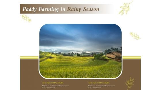 Paddy Farming In Rainy Season Ppt PowerPoint Presentation Model Graphics Design PDF