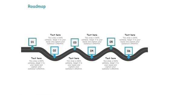 Paint Entrepreneur Roadmap Ppt Infographics Show PDF