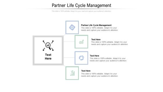 Partner Life Cycle Management Ppt PowerPoint Presentation Layouts Graphics Cpb Pdf