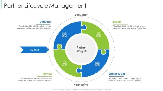 Partner Lifecycle Management Ppt Gallery Grid PDF