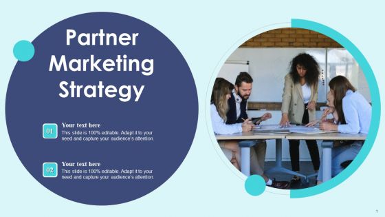 Partner Marketing Strategy Ppt PowerPoint Presentation File Inspiration PDF