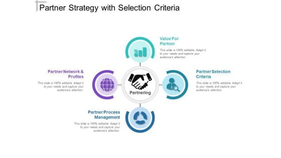 Partner Strategy With Selection Criteria Ppt PowerPoint Presentation Icon Visual Aids PDF