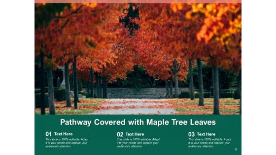 Passage Old Trees Mountain Top Ppt PowerPoint Presentation Complete Deck