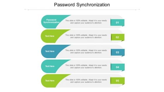 Password Synchronization Ppt PowerPoint Presentation File Master Slide Cpb