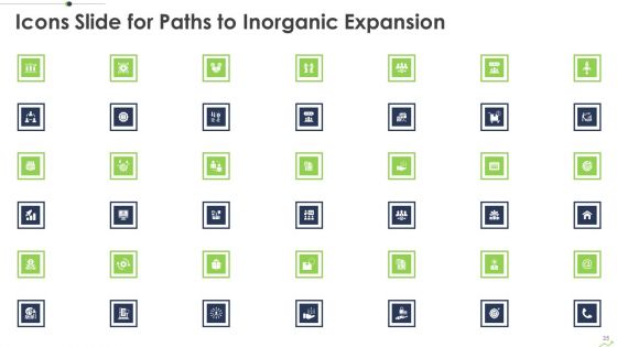 Paths To Inorganic Expansion Ppt PowerPoint Presentation Complete Deck With Slides