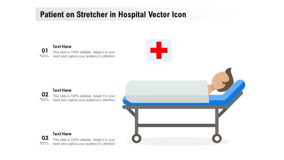 Patient On Stretcher In Hospital Vector Icon Ppt PowerPoint Presentation Slides Aids PDF