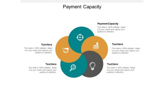 Payment Capacity Ppt PowerPoint Presentation Icon Outfit Cpb