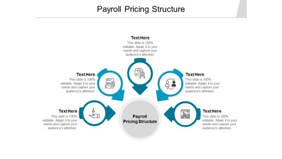 Payroll Pricing Structure Ppt PowerPoint Presentation Infographics Slides Cpb